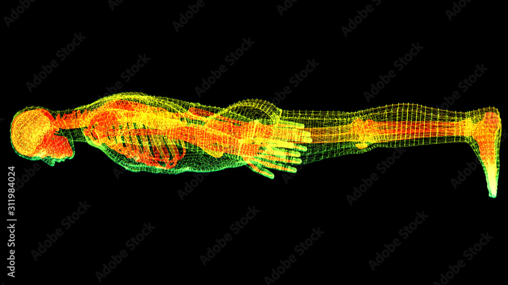 Poster futuristic head up display motion element virtual biomedical holographic human body scan neurologica