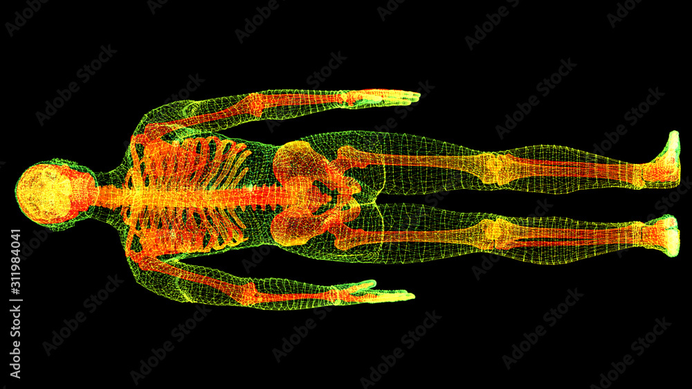 Aufkleber futuristic head up display motion element virtual biomedical holographic human body scan neurologica