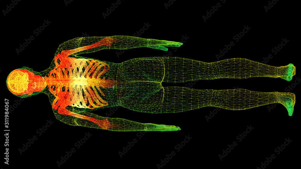 Poster futuristic head up display motion element virtual biomedical holographic human body scan neurologica
