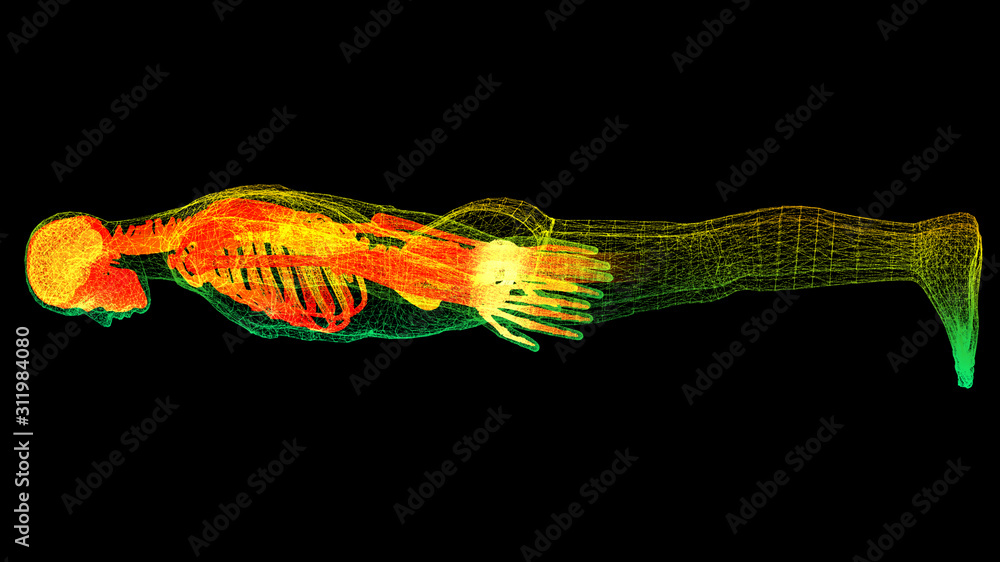 Aufkleber futuristic head up display motion element virtual biomedical holographic human body scan neurologica