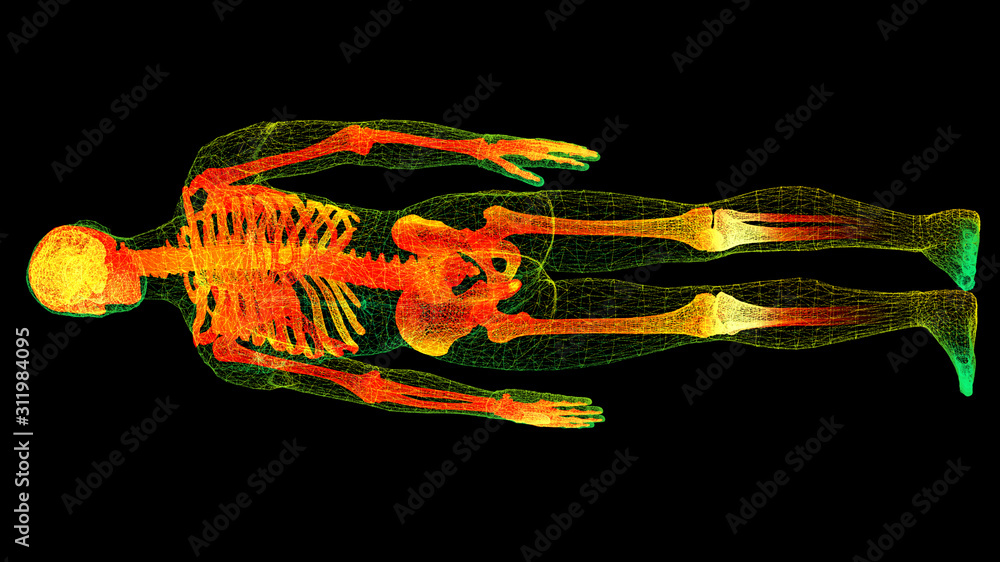 Poster futuristic head up display motion element virtual biomedical holographic human body scan neurologica