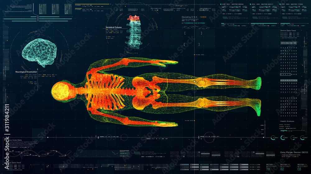 Aufkleber futuristic head up display motion element virtual biomedical holographic human body scan neurologica