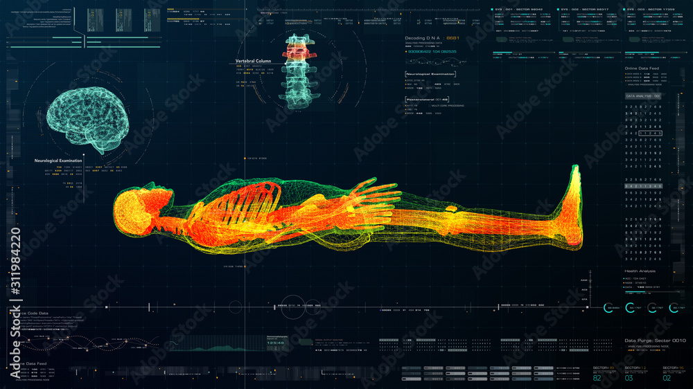 Aufkleber futuristic head up display motion element virtual biomedical holographic human body scan neurologica