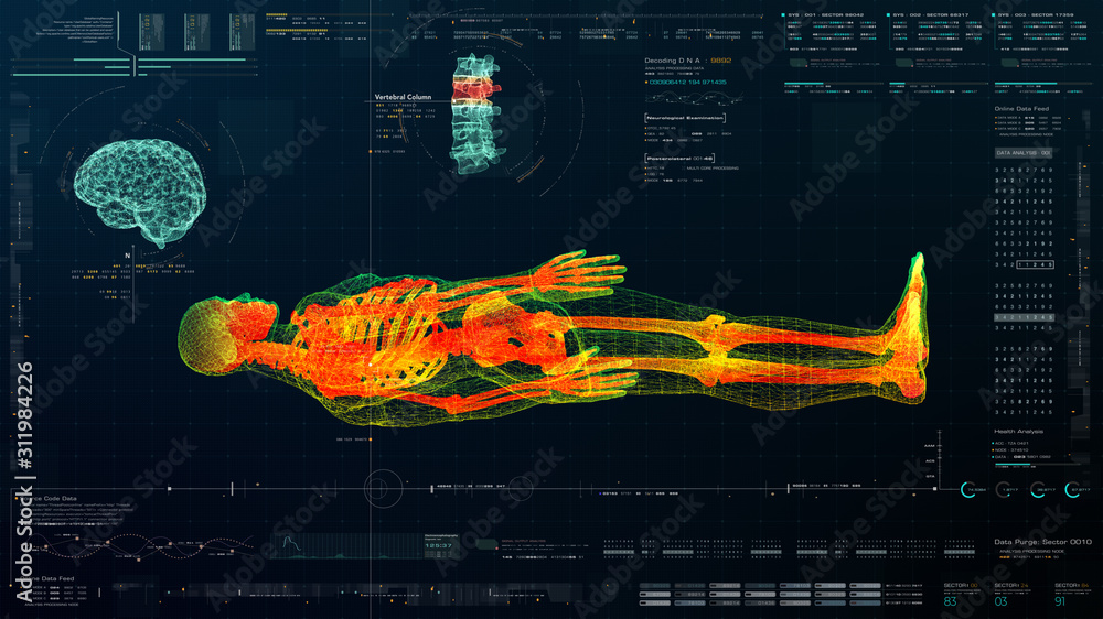 Leinwandbilder futuristic head up display motion element virtual biomedical holographic human body scan neurologica