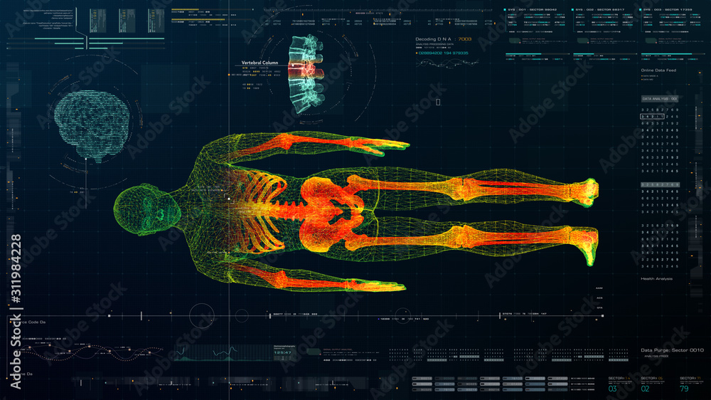 Aufkleber futuristic head up display motion element virtual biomedical holographic human body scan neurologica