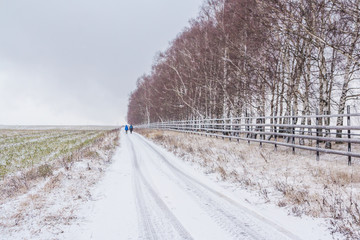 Obraz premium Snowy road along the field