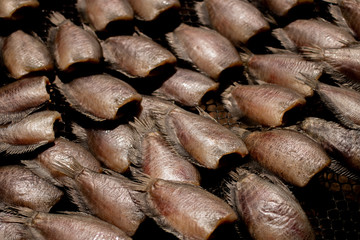 Preparing dried Trichopodus for cooking in Thai food style. This method is type of food preservation.