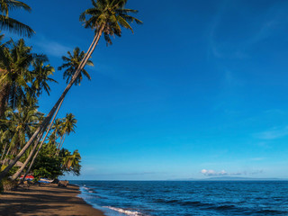 A brown sand beach and calm sea on a tropical island in the Philippines, with tall coconut palm trees and a vivid blue sky.