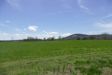 Fototapeta na wymiar field country view