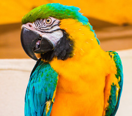 Make sure you get my good side.