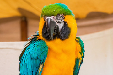 You looking at me?
