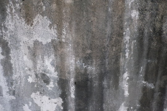 Cement wall painted in white, broken, molded, black, dirty, concept background image