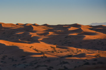 Fototapeta na wymiar Desert at sunrise brings out bold burnt orange colored sand wiht shadows making a great desert landscape on rippling or rolling hills in Ras al Khaimah, in the United Arab Emirates.