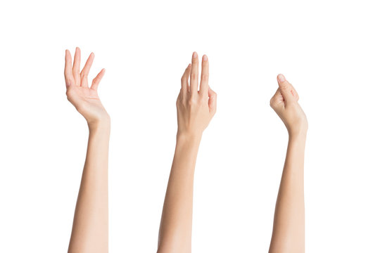 61 Best 綺麗な手 Images Stock Photos Vectors Adobe Stock