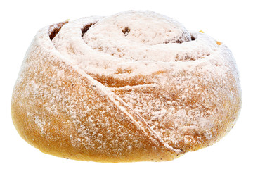 Butter bun snail close-up isolated