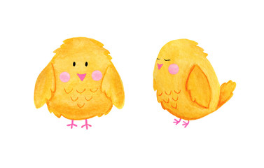 set spring, easter, yellow chicken in watercolor