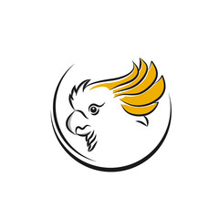 hand drawn vector realistic bird, sketch graphic style, cockatoo parrot, cacatua sulphurea