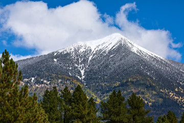 The San Francisco Peaks in Flagstaff, Arizona
