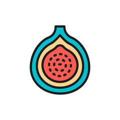 Vector fig, guava, exotic fruit flat color line icon.