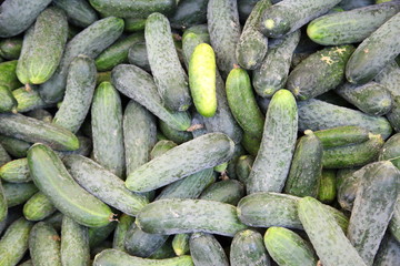 Green Cucumbers At A Street Market
