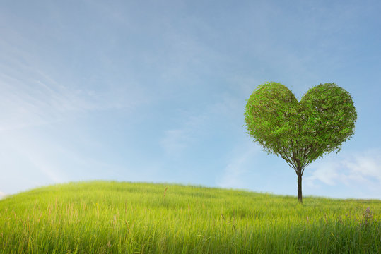 Green field with heart shape tree under blue sky. Beauty nature,for good environment.