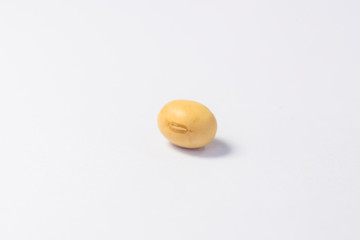 A soybean isolated on a white background.