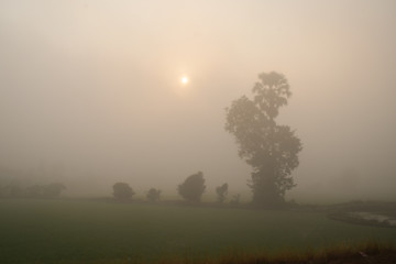 Morning countryside scene, Rural scene