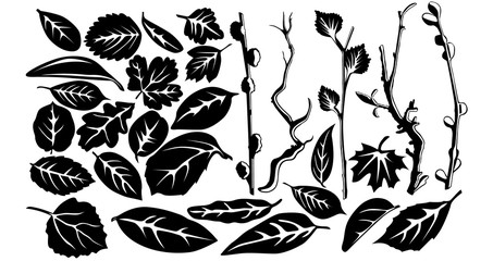 Large set of different leaves and twigs. Black and white autumn set.