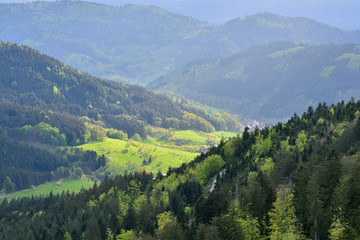 Fototapeta premium Picturesque European landscape with mixed coniferous and deciduous forest on a background of a mountain valley with houses in the forest Schwarzwald, Germany