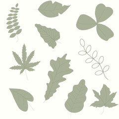 vector set of leaf flowers - stylish illustrations of leaves, flowers, good for postcards, invitations, posters, design