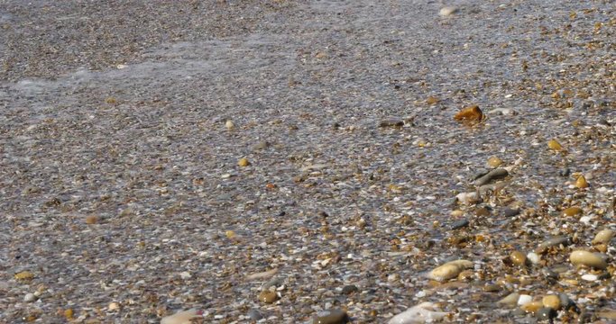 Peeble beach of Maguelone,  Villeneuve-l&egrave;s-Maguelone, H&eacute;rault, Occitanie, France