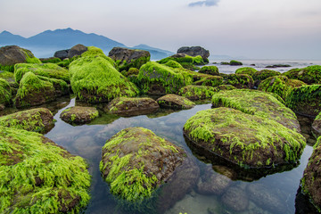 Fototapeta na wymiar Da Nang beach with moss rocks and waves at sunrise.