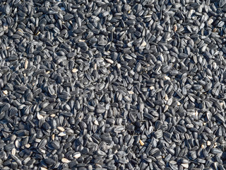 Background of sunflower seeds