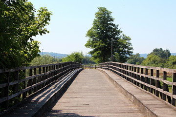 Old massive dilapidated pedestrian wooden bridge with wooden handrails surrounded with tall dense...