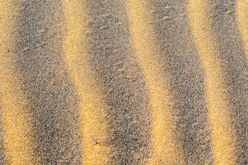 Abstract background of the golden sand 