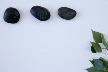 Black stones and a green plant branch on background.