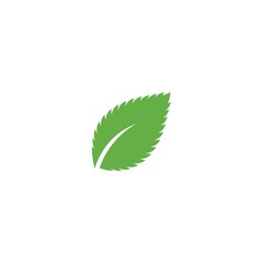 Mint leaf logo