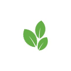 Mint leaf logo © AWK studio