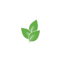 Mint leaf logo