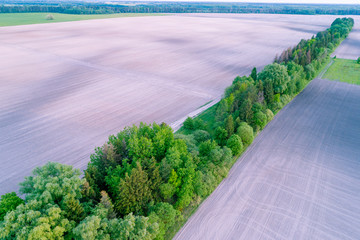 Rural landscape. View from above of arable field with row of trees