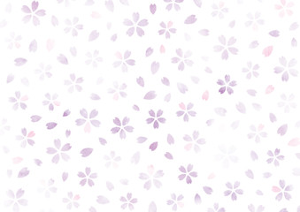 桜　水彩　テクスチャ　背景　紫