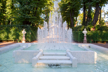   Fountain in the Summer garden in St. Petersburg, Russia.Horizontally.