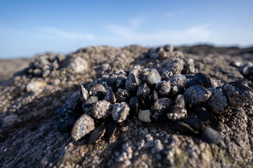 Bretagne im Winter Dezember 