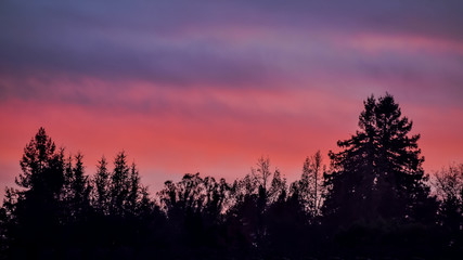 Sunset clouds with silhouette of evergreen forest.