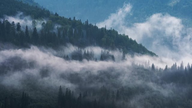 Timelapse of misty fog blowing over mountains with pine tree forest at dusk