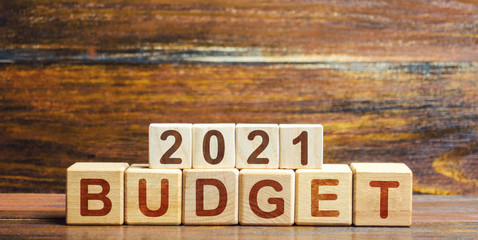 Blocks Budget 2021. Budget planning for next year. Beginning of new decade. Business plans and development prospects, trends and challenges. Revenues and expenses, investment and project financing.