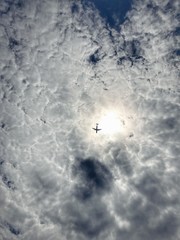 Fototapeta premium Flying higher 