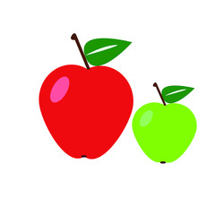 vector illustration of an apple