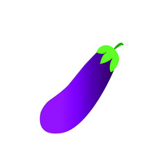 eggplant vegetable vector food fresh