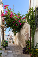 The charming and romantic historic old town of Polignano a Mare, Apulia, southern Italy
